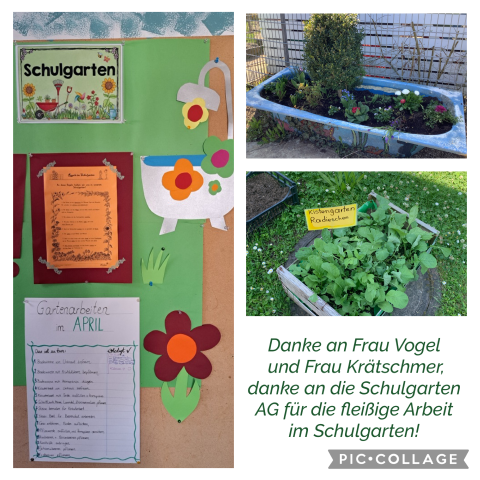Schulgarten Frühling 2025 1